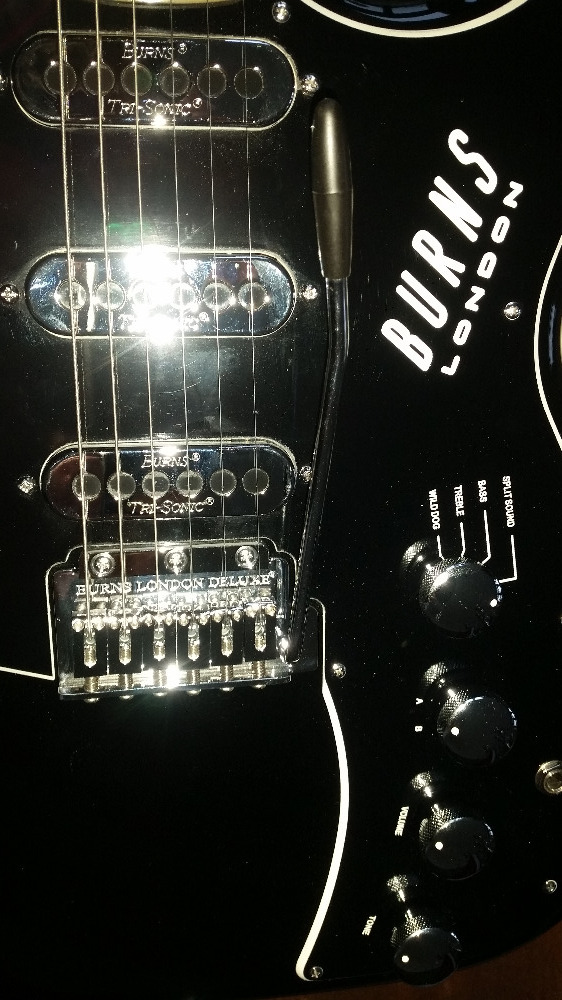 Burns black bison guitar deals