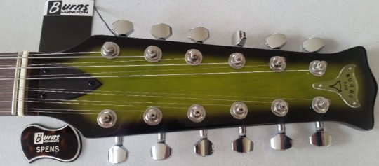 Burne SSJ 12 string  2020 model 