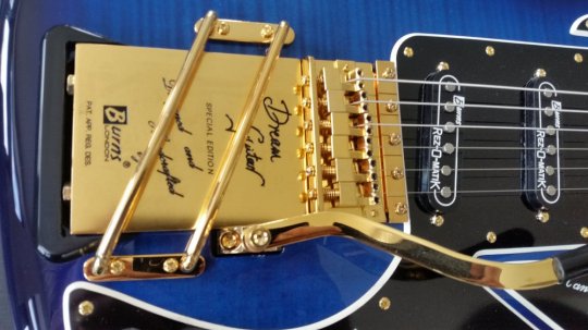 Burns Apache Trans Blue Custom made for me 