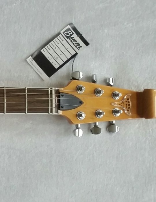 Burns Bison 64  Black Excelent cond. Sold 