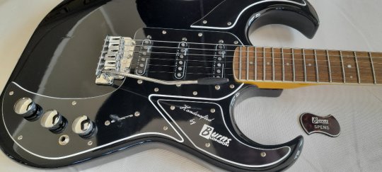 Burns Bison 64  Black Excelent cond. Sold 