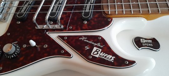 Burns Shadows Rostill  Bass White  Like new