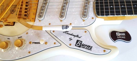 Burns Apache Noisless  As NEW