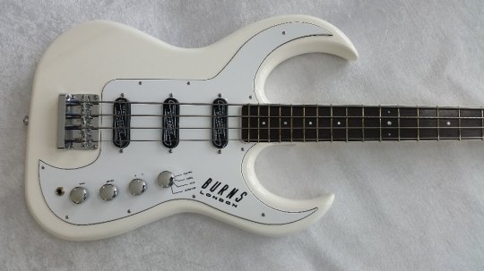 Burns Bison  64 Bass